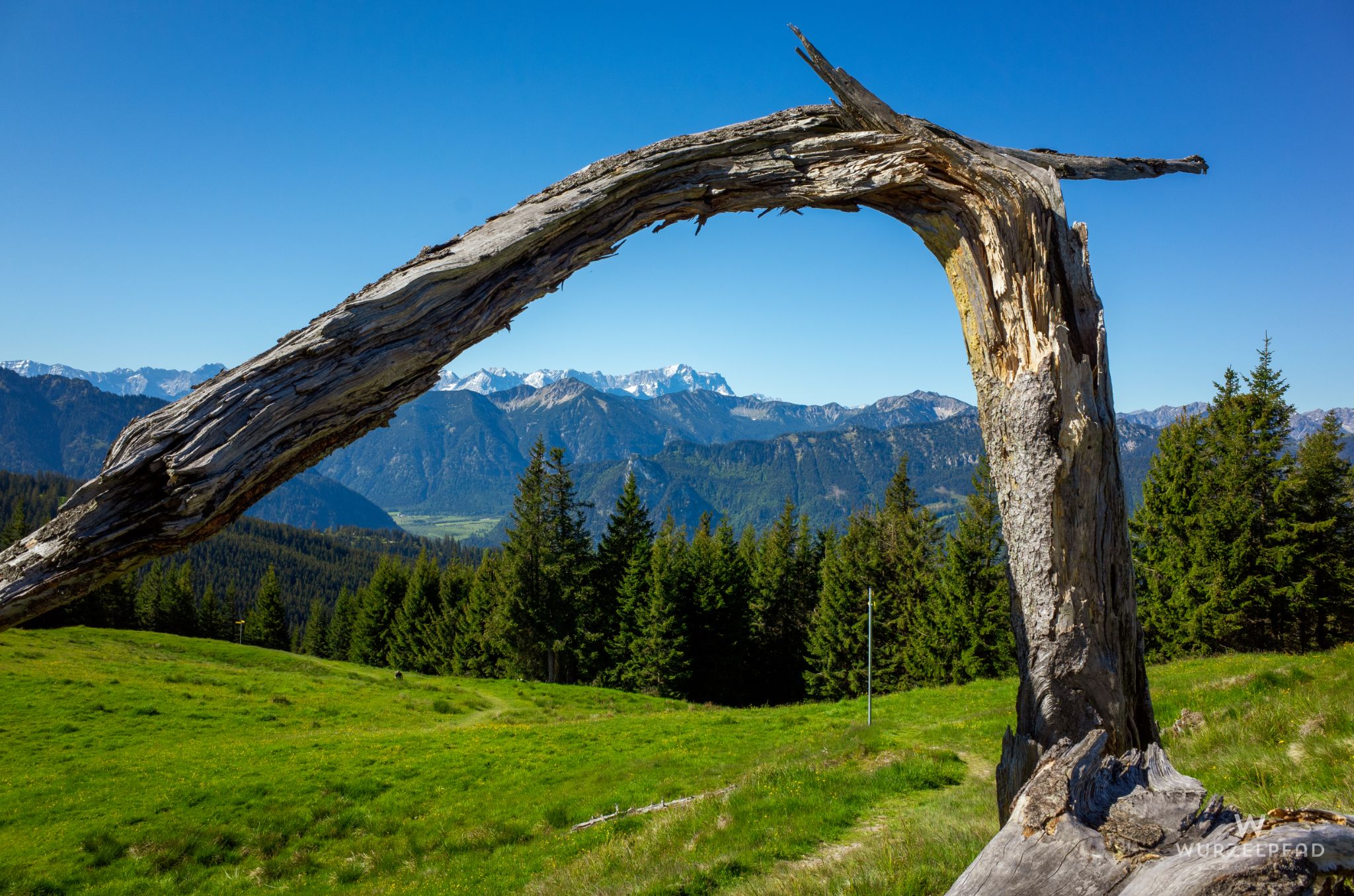 Umrahmter Blick auf die Zugspitze
